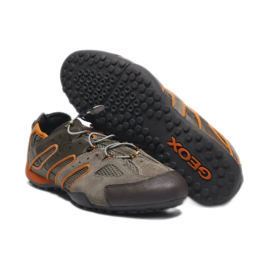 Geox Sport Shoes Fabric Brown Colour For Men