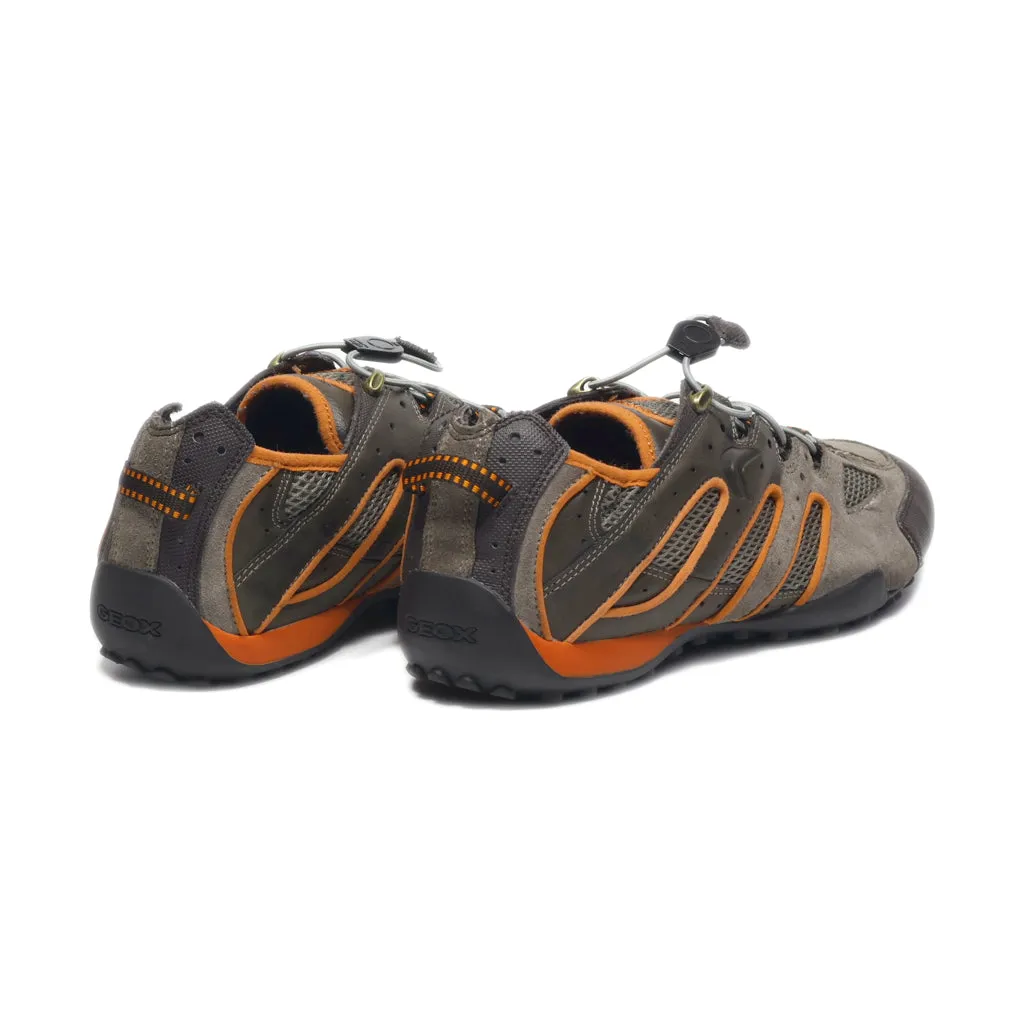 Geox Sport Shoes Fabric Brown Colour For Men