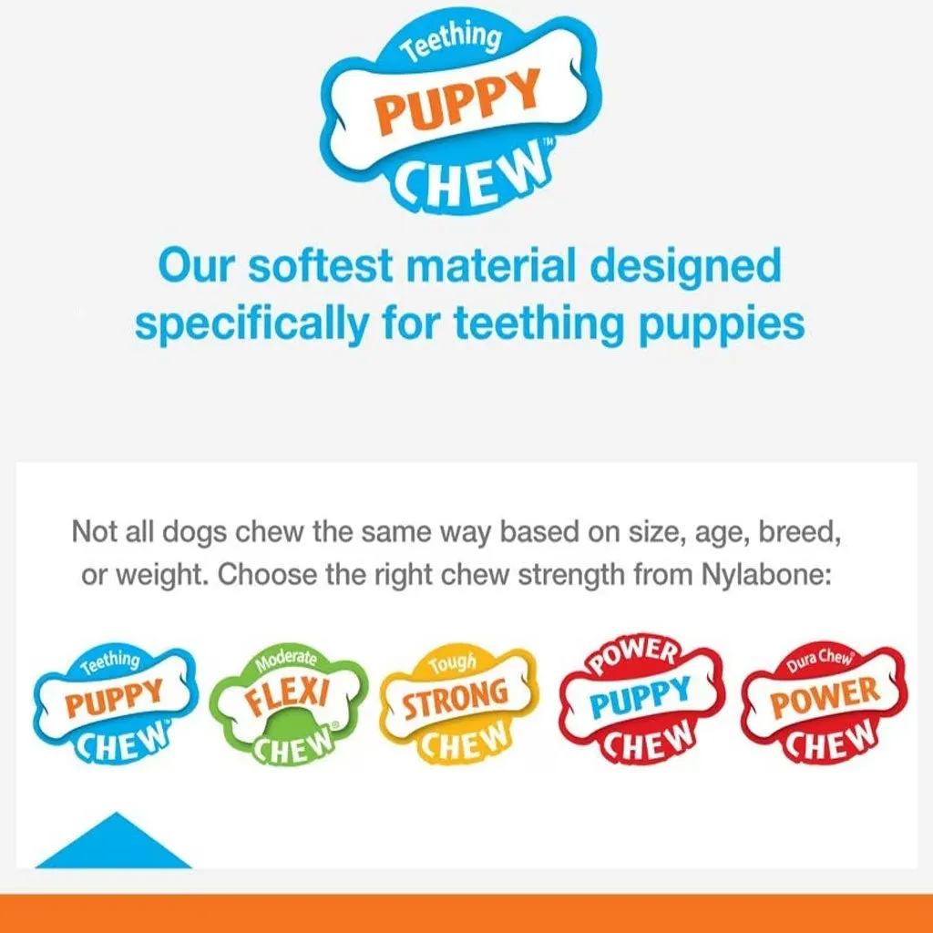 Nylabone Puppy Pacifier Teething Chew Bacon Flavored Dog Toy, Small/Regular